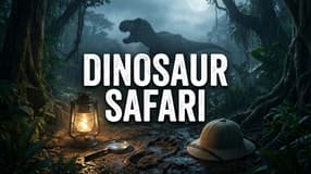 Dinosaur Safari