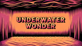 Underwater Wonder